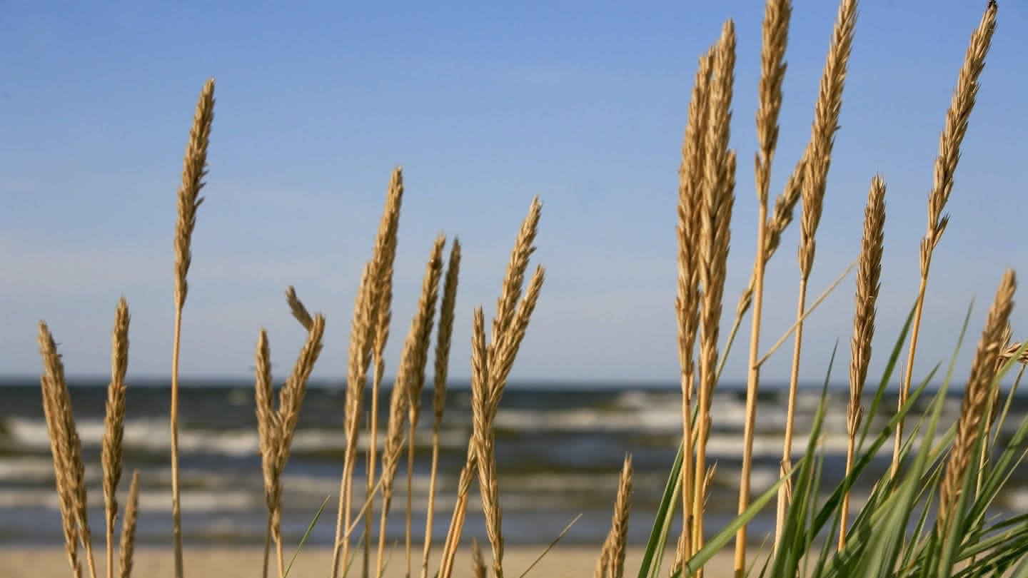 Two people sitting on a couch